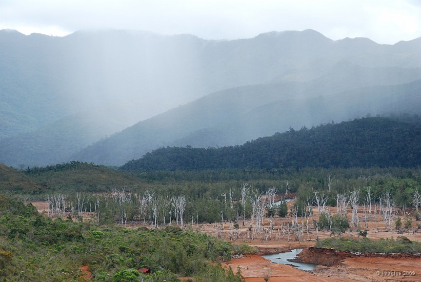 10.78- La foret noyee.JPG